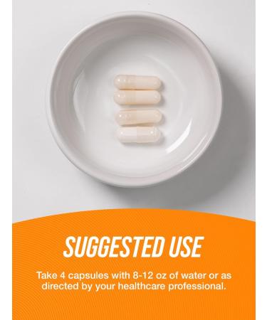 BulkSupplements.com L-Carnitine Fumarate Capsules - Carnitine Supplement Nutritional Supplement - Gluten Free 4 Capsules per Serving (1000mg) 240 Count (Pack of 1) - Buy Online on GoSupps.com