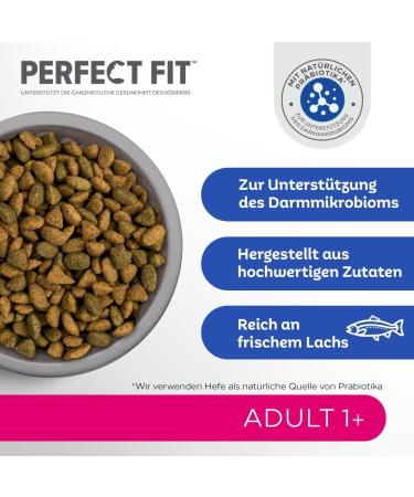 Buy PERFECT FIT Adult Dry Cat Food with Salmon - 7kg Bag | Healthy Nutrition for Cats 1 Year & Older - Buy Online on GoSupps.com