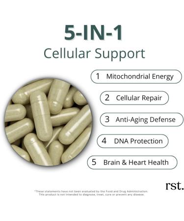 reset wellness RESVERA NAD+ | Resveratrol Nicotinamide Riboside (NR) Quercetin NAC & CoQ10 | Supports Cellular Energy Anti-Aging Mitochondrial Health & Longevity | 60 Capsules - Buy Online on GoSupps.com