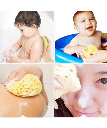 Angoily Natural Sea Sponges Soft Bath Sponges Body Puff Scrubber Used in Bath Shower Cleansing Exfoliating - Buy Online on GoSupps.com