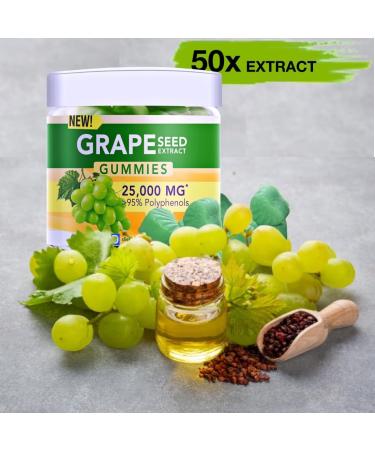 Holistic MD Grape Seed Extract Gummies | Grape Seed Oil 25 000 mg 50x Original | 95% Polyphenols | #1 Grape Seed Gummies in USA | Sugar Free Vegan | Grape Flavor 60 ct - Buy Online on GoSupps.com