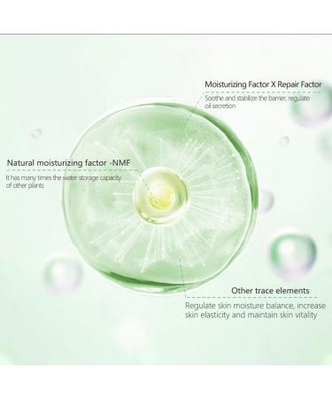 Organic Aloe Vera Gel 16.9oz - 100% Pure Moisturizer for Face Body Hair & Sunburn Relief - Fast Absorbing Unscented No Alcohol - Buy Online on GoSupps.com