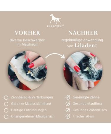 Shop Lila Loves IT Dog Toothbrush - Antibacterial Micro-Fleece Dental Care Fingerling for Healthy Gums | International Shipping - Buy Online on GoSupps.com