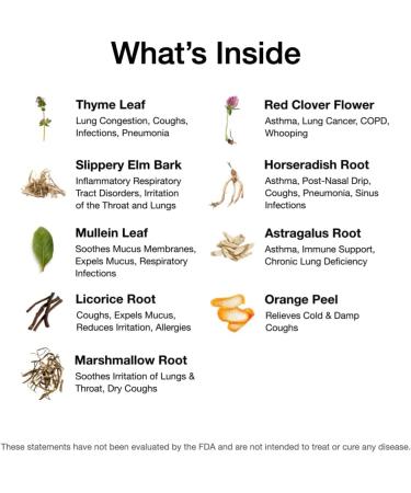 Food Over Drugs Lung Formula Herbal Detox with Organic Mullein Thyme Licorice & Astragalus Natural Supplement for Lung Support Breathing Clarity & Mucus Balance Plant-Based Capsules - Buy Online on GoSupps.com