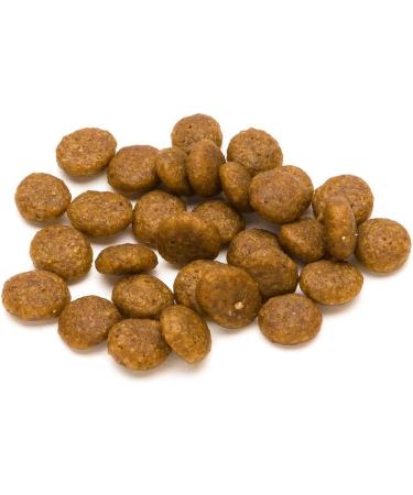 Buy Lifelong Complete Dry Cat Food - Chicken & Rice 10kg | Amazon Brand | International Shipping - Buy Online on GoSupps.com