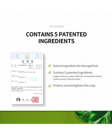 Premium TS Treatment for Dry Damaged Hair & Scalp | Sulfate-Free Therapy with Biotin & Essential Oils | 6.8 Fl Oz | All Hair Types - Buy Online on GoSupps.com