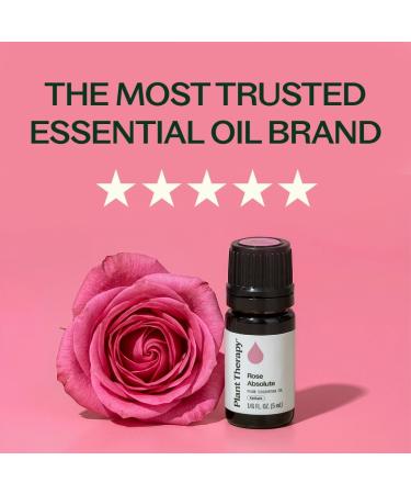 Plant Therapy Rose Absolute Essential Oil 5 mL (1/6 oz) 100% Pure Undiluted Calming & Emotionally Grounding Great Essential Oil for Skincare 0.16 Fl Oz (Pack of 1) - Buy Online on GoSupps.com