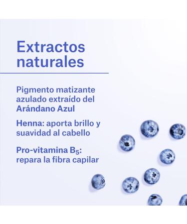  NaturVital NaturVital Silver Shampoo Paraben Free Natural White and Grey Hair Mattifying Platinum Grey Hair Blue Pigment for Men and Women 6 x 300 ml - Buy Online on GoSupps.com