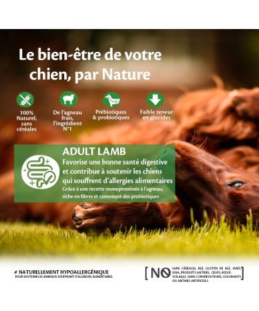 Wellness Core Lamb Natural and Grain-Free Dog Food for All Sizes Lamb 1.8 kg - Buy Online on GoSupps.com