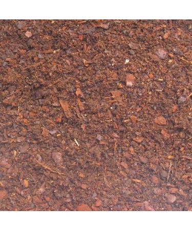 JBL TerraBark 71021 Soil Substrate for Forest & Rainforest Terrariums - Pine Bark 2-10 mm 5L | International Shipping Available - Buy Online on GoSupps.com