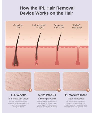 IPL Hair Removal Device for Men & Women - 999 000 Painless Light Impulses | Body Face Bikini Area (Purple) - Shop Now! - Buy Online on GoSupps.com