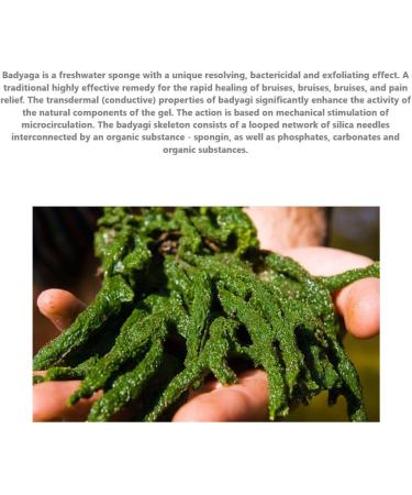 Gel Badyaga Forte Ointment for Bruises and Edema - Accelerate Healing & Reduce Pigment Spots - 75 ml Skin Cream - Buy Online on GoSupps.com