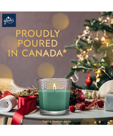 Glade Scented Candle Twinkling Pine & Cedar 1-Wick Candle Air Freshener Infused with Essential Oils for Home Fragrance 1 Count (Packaging May Vary) - Buy Online on GoSupps.com