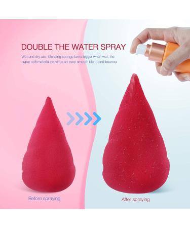 Sponge Cushion Puffs Makeup Sponge Blender Foundation Beauty Tool Powder Puff with Screw Shape Face Makeup Loose Powder Cushion Makeup Sponge for Contouring Under Eyes and Corners - Buy Online on GoSupps.com