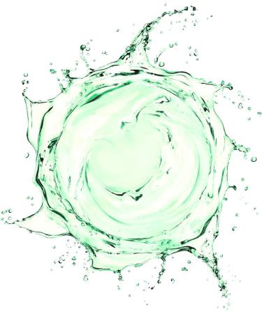 RAYA Camphor Astringent 6 oz - Facial Toner for Oily Skin | Controls Oiliness and Blemishes | Camphor & Eucalyptus Formula - 6 fl-oz - Buy Online on GoSupps.com