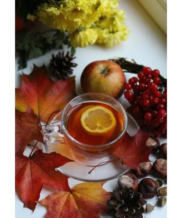 Loyd Tea 40 Teabag X4 Mixed Berries Flavour 160 Total Fruit Tea Drink Home Office Work - Buy Online on GoSupps.com