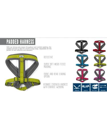Ancol Viva Purple Padded Harness - Size Small (36-42cm) - Buy Online on GoSupps.com