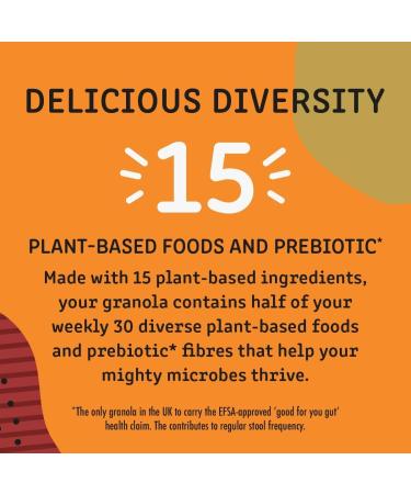 BioMe Bio&Me Apple and cinnamon gutloving muesli 360 g pack of 6 healthy breakfast vegan rich in fiber natural ingredients - Buy Online on GoSupps.com