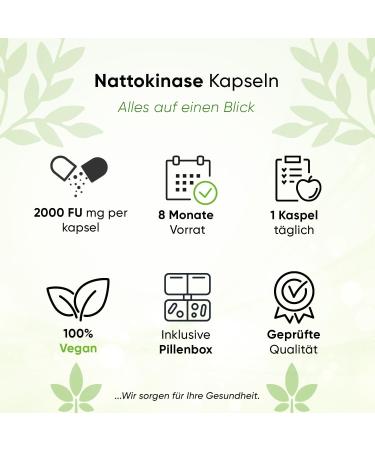 Nattokinase 240 Capsules - High-Dose 100 mg (20 000 FU/g) - 8 Month Supply - Vegan & GMO-Free - Lab-Tested & Additive-Free - Buy Online on GoSupps.com