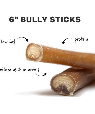 Downtown Pet Supply 6-inch Bully Sticks for Dogs Pack of 10 - Single Ingredient Nutrient-Rich and Odor Free Bully Sticks for Dogs - Rawhide Free Dog Chews Long Lasting and Non-Splintering - Buy Online on GoSupps.com