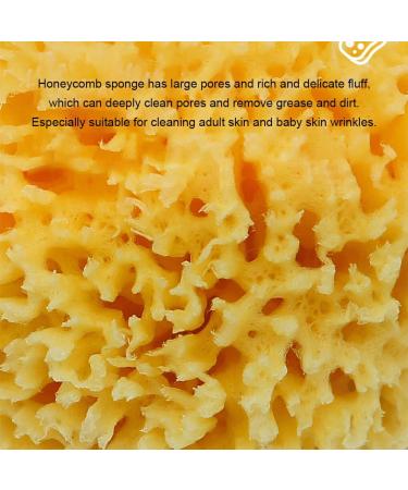 AUklOPVZZ Greek Sponge for Bathing Soft and Durable for Long Time Natural Sea Sponges for Bathing Honeycombs Natural Sea Sponge - Buy Online on GoSupps.com