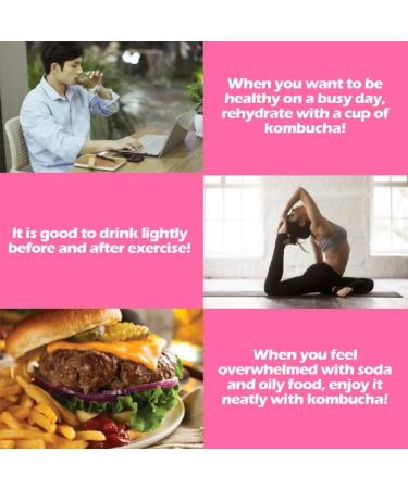 NEWTOKI Sevenberry Tea Garden Daily Kombucha Powder Tea Sugar Free / 5g x 20 sticks (Free Gifft - Bottle) with Oil Blotting Papers - Buy Online on GoSupps.com