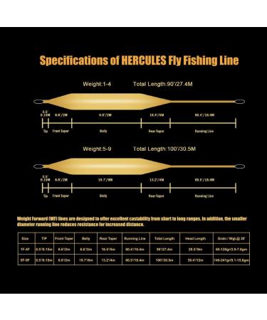 HERCULES WF5F 100FT Floating Weight Forward Fly Fishing Line - Teal Blue - Buy Online on GoSupps.com