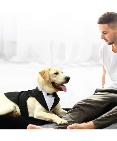 Dog Tuxedo Dog Wedding Outfit and Bandana Set Dog Tuxedo Costume Pet Clothes Puppy Formal Shirt with Removable Bow Tie Dog Suit For Small Medium Large Dogs Dog Outfit for Party Birthday Festival L(Chest:20.9-25.6" Body: 16.5") Black - Buy Online on GoSupps.com