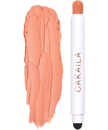 Eye Shadow Sticks | Double-end Matte Pearlescent Silkworm - Stick Highlighter Makeup Automatic Rotating for Women Girls - Buy Online on GoSupps.com