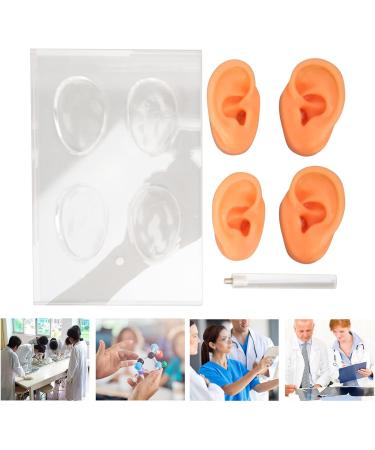 Ear Display Mold Human Ear Model Real Skin Feeling Reusable Waterproof Soft For Store Showcase For Doctor Otolaryngologists For Ear Dispensers - Buy Online on GoSupps.com