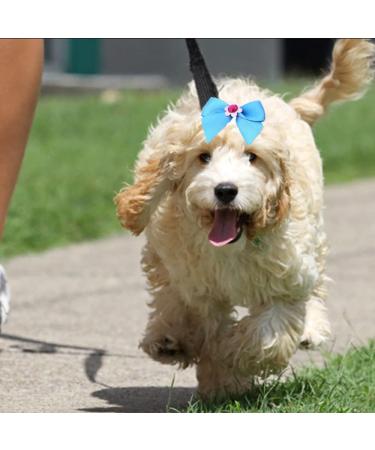 50 Dog Hair Accessories - Pet Hair Clips & Bows for Small Dogs Cats & Puppies - Random Colors - Buy Online on GoSupps.com