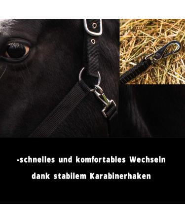 Buy Horse Delinis Halter for Warmbloods Thoroughbreds & Ponies - Adjustable Tear-Resistant Black COB Stable & Pasture Use - Buy Online on GoSupps.com