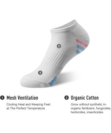 ECOEY Kids No Show Cushioned Athletic Running Socks 12-Pack - White Assorted (Small) - Buy Online on GoSupps.com