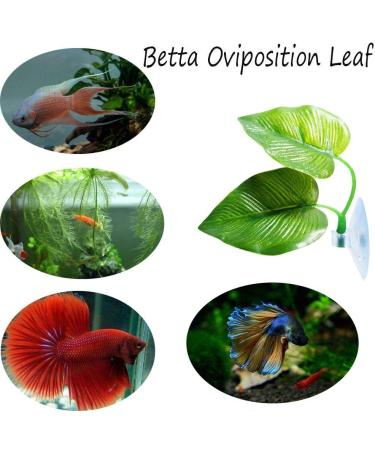 Cousduobe Betta Fish Leaf Pad - Enhances Health with Double Leaf Design for Natural Habitat Simulation - Buy Online on GoSupps.com