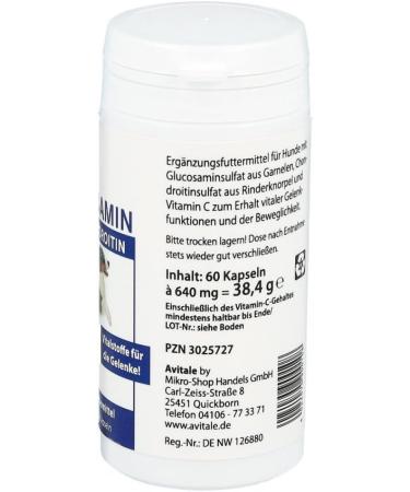 GLUCOSAMINE + CHONDROITIN Capsules for Dogs - 60 Pcs - Joint Health Supplement - Fast International Shipping - Buy Online on GoSupps.com