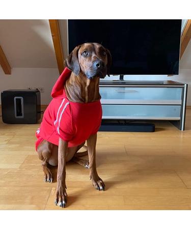 Eastlion Dog Sweater - Warm Red Puppy T-Shirt Pullover Coat | Size LL Pet Apparel - Shop Internationally - Buy Online on GoSupps.com
