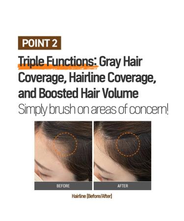TS Hair Cover Stick Black 2.5g | Premium Hair Building Fibers for Instant Coverage | Worldwide Shipping - Buy Online on GoSupps.com