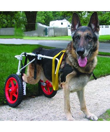 Large Dog Wheelchair for Back Legs Adjustable Pet Wheelchair Sturdy Dog Cart Wheels Back Leg Support Soft Comfortable for Dog XLarge B - Buy Online on GoSupps.com