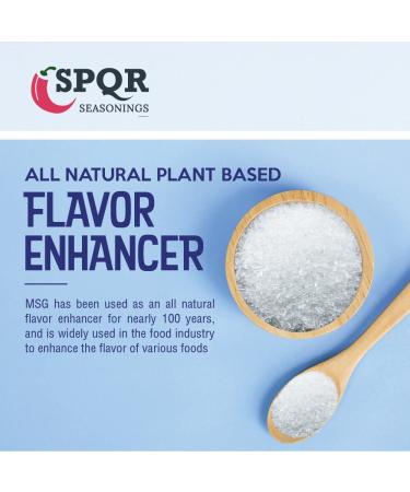 All Natural MSG Seasoning XL 12oz Bottle - Gluten Free, Plant Based, Restaurant Grade Flavor Enhancer by SPQR Seasonings - Buy Online on GoSupps.com