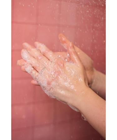 Refizz Starter package Natural Standard - Buy Online on GoSupps.com