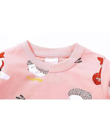 Girls Cotton Sweatshirt | Kids Casual Jumper | Long Sleeve Pullover | Toddler Clothes | Ages 1-12 | 6-7 Years | Pink - Buy Online on GoSupps.com