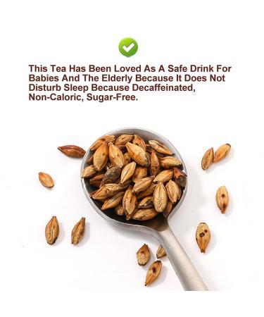 Buy PlantGift Barley Tea 200G - Caffeine Free Sugar Free Digestive Support & Fat Burning Mugicha - Buy Online on GoSupps.com