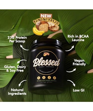 Blessed Vegan Protein Powder - Plant Based Protein Powder Meal Replacement Protein Shake 23g of Pea Protein Powder Dairy Free Gluten Free No Sugar Added 30 Servings (Banana Bread) Banana Bread 30 Servings (Pack of 1) - Buy Online on GoSupps.com
