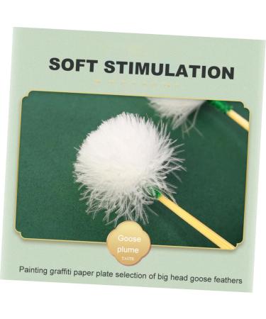 GALPADA 8pcs Professional Ear Wax Removers Convenient Non- Ear Cleaners for and Daily Family Use - Buy Online on GoSupps.com