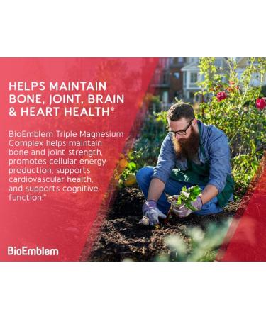 BioEmblem Beauty Collagen - 11G Hydrolyzed Multi-Collagen Peptides & Triple Magnesium Complex 180 Capsules - Buy Online on GoSupps.com