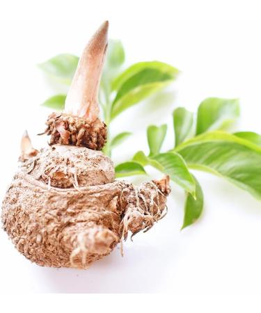 Glucomannan 700 mg - High Dose Vegan Capsules | 100% Natural & Non-GMO | 120 Count - Buy Online on GoSupps.com