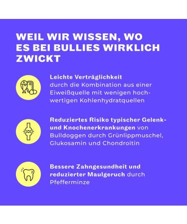 Buy Hey Holy 7kg Grain-Free Bulldog Dry Food with 40% Salmon - Premium Animal Protein for Adult Dogs - Buy Online on GoSupps.com