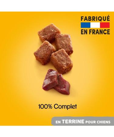 Pedigree Dog Meal - Terrine Boxes for Adult Dogs with Beef and Carrots - 12 x 800g - Buy Online on GoSupps.com