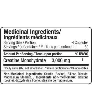 ALLMAX Nutrition - Creatine 3000 Creatine Monohydrate Capsules for Strength and Muscle Recovery Gluten Free & Fast Absorbing 3000 mg 120 Capsules - Buy Online on GoSupps.com