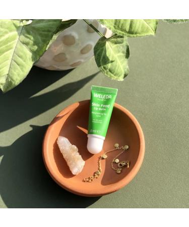 Weleda Bio Skin Food Light Moisture Cream & Lip Butter Bundle - Natural Lip Care for Dry Lips with Beeswax & Sunflower Oil | Shop Now! - Buy Online on GoSupps.com